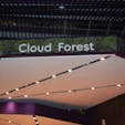 Cloud Forest 
singapore