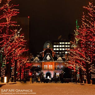 日本三大イルミネーションに選ばれたさっぽろホワイトイルミネーションは、大通公園のほか、駅前広場やアカプラ会場でも点灯します。大通2丁目ではミュンヘン・クリスマス市も同時開催され、一気にクリスマスムードが高まります🎄✨