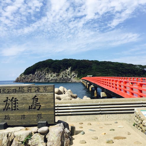 雄島