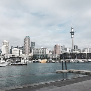 この夏、ニュージーランドに一人旅してきました。また行きたいな。