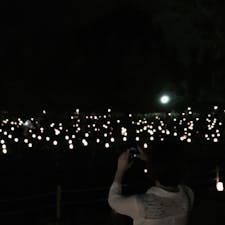2018.8.9
奈良 燈花会
#ならまち #奈良 #燈花会 #奈良公園