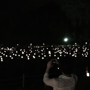 2018.8.9
奈良 燈花会
#ならまち #奈良 #燈花会 #奈良公園