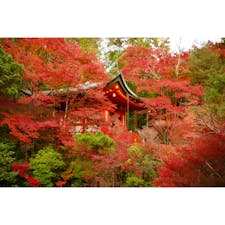 秋の京都:毘沙門堂