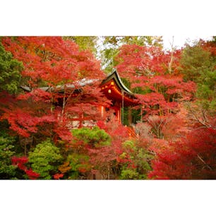 秋の京都:毘沙門堂