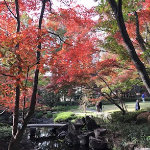 20181126＊大田黒公園の紅葉