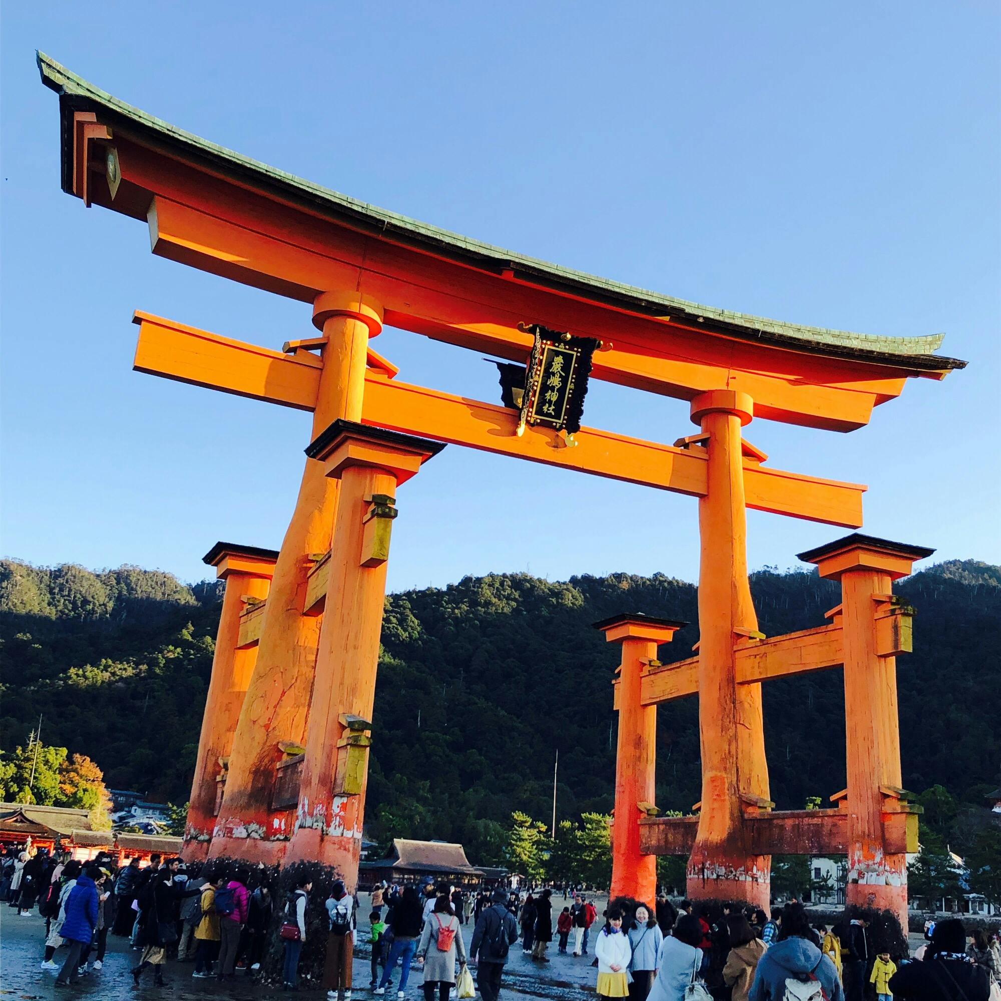 嚴島神社 いつくしまじんじゃ 厳島神社 の投稿写真 感想 みどころ 厳島神社 干潮時の鳥居 トリップノート 嚴島神社 いつくしまじんじゃ 厳島神社 の投稿写真 感想 みどころ 厳島神社 干潮時の鳥居 トリップノート