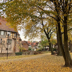 2018.11.10ミヒェルシュタット（ドイツ）
晩秋…素敵でした。