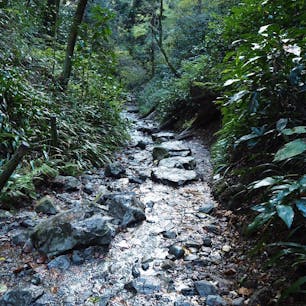 6号路。防水の靴だと飛び石もなにも関係なく無敵に進めます。