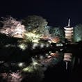 2017.11.23
京都ぶらり旅
#京都 #東寺 #ライトアップ #紅葉