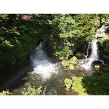 2017年9月5日  #日光
トンボが手にとまったり、虹がかかったり奇跡つづき ☻