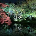 11月に出かけた京都・高台寺のライトアップ(^^)
本当にきれいだなぁ〜見られるのは12月9日まで！
#京都 #高台寺 #ライトアップ #紅葉 #庭園