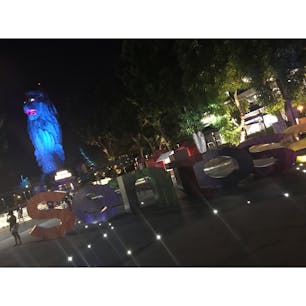 シンガポール♡
セントーサ島でマーライオンのライトアップ