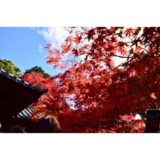 そうだ、京都へ行こう！
#東福寺#京都