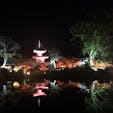 京都 大覚寺ライトアップ🍁
池に反射した様子がとても美しくて見とれました〜😌