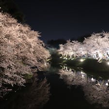 2018.4
青森 弘前城にて。
桜は咲き始めたところでしたが、綺麗でした。満開の季節にまた行きたいところです。