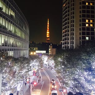 けやき坂のイルミネーション越しに見る東京タワー
冬の風物詩です♪