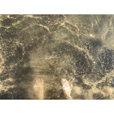 熱海 冬の海
つめたい、けど、入っちゃう！
入水した部分の冷たさはすぐに慣れて、砂が温かいとさえ感じる。
今年の夏にこの場所で一緒に花火を見上げていたひとも、数年前、この場所に連れてきてくれたひとも、みんな、今のわたしの生活に存在しないことなんかちっぽけなことのように堂々と音を立て、優しく触れてくれる。
どこまでも続く大海原をどうしても見にきたくなってしまうのは、四方八方を壁に囲まれた時のような、気がします。