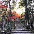11月月末の大雄山最乗寺にて。
お寺へあがる途中の石段の紅葉がとてもきれいでした。