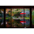 秋の京都:旧竹林院
