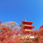 清水寺😊

お天気に恵まれて、素敵な写真が撮れた🥰‼️