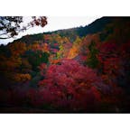 京都の嵐山からみた紅葉！
いろんな色が映えていて素敵でした(*ˊ ˋ*）