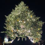横浜みなとみらいのクリスマーケットにて。今まで見たクリスマスツリーの中で一番綺麗だった！また見に行きたいなあ。