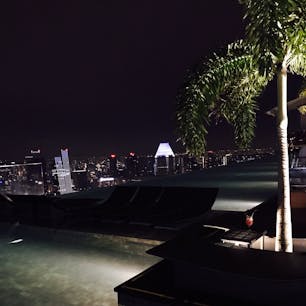 marina bay sands
Singapore🇸🇬

世界一高い天空プール💫