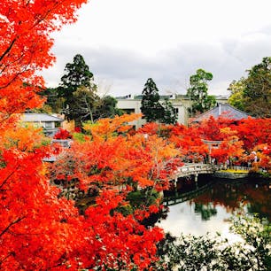 永観堂🍁
寺宝展拝観券🎫🥰