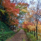 内子フレッシュパークからり川沿いの紅葉