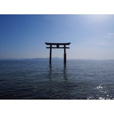 【滋賀】
白髭神社 総本社


琵琶湖に浮かぶ朱色の鳥居がなんとも不思議で、その佇まいから「近江厳島」と呼び名が付けられています。

時間によって表情を変える鳥居は
いつ見ても綺麗ですが、
日の出、日の入りの空と湖面が真っ赤に染まる光景はとてもフォトジェニックです^_^