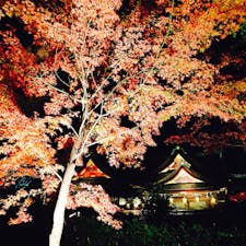 北野天満宮❤
ライトアップ✨