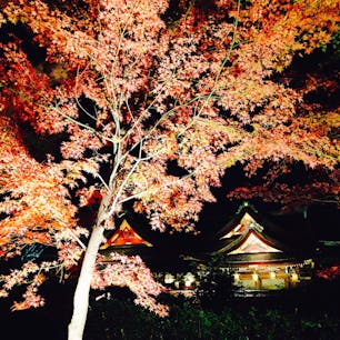 北野天満宮❤
ライトアップ✨