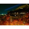 【京都】
清水寺 × 紅葉🍁


2015年に撮影した清水寺です。
2020年3月まで改修工事をしているので
現在この姿は見られません。
改修後が楽しみですね^_^