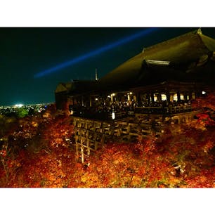 【京都】
清水寺 × 紅葉🍁


2015年に撮影した清水寺です。
2020年3月まで改修工事をしているので
現在この姿は見られません。
改修後が楽しみですね^_^