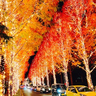 ローム会社のイルミネーション。