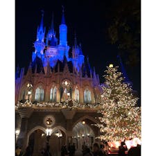 東京ディズニーランド
クリスマス🎄

クリスマスツリーとシンデレラ城のライトアップが本当に綺麗で幻想的✨