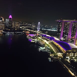 シンガポールはとっても好きな国でした！食べ物も好き！
明日からでも暮らせるw
