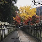 2016.11.19
#信貴山 #朝護孫子寺 #紅葉