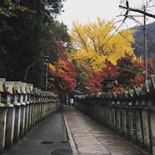 2016.11.19
#信貴山 #朝護孫子寺 #紅葉