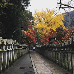 2016.11.19
#信貴山 #朝護孫子寺 #紅葉
