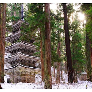 [2018/12]
山形県、羽黒山五重塔。
雪山の中、忽然と姿を現わす荘厳な木造建築。何で腐らないんでしょうね...。
冬は駐車場の隣にあるビジターセンター的なところで長靴を無料貸し出ししてます。間違っても普通の靴で行くことは避けて下さい。