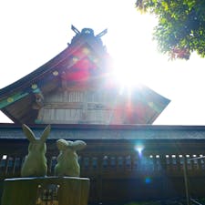 島根県
出雲市
出雲大社