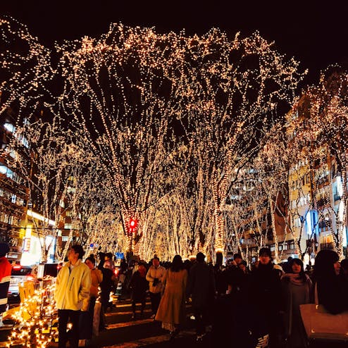 SENDAI光のページェント