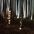 亀岡夢ナリエ✨
色々なイルミネーションがあったけど、この竹のイルミネーションが一番綺麗でしたぁ🎋