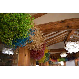 マダンフラワーカフェ☕️
超かわいかった！！！
韓国いーっぱい可愛いカフェあるけどわたし的にここがno.1！