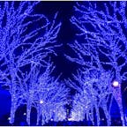 去年、ラッキーな事に紅白歌合戦を観戦しました！
青の洞窟 SHIBUYA、めちゃめちゃキレイやったなぁ〜🌟