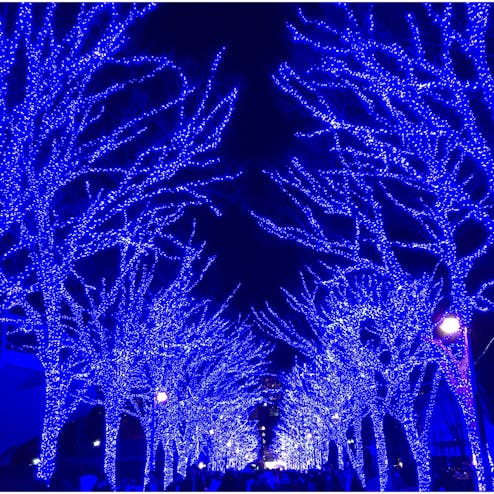 青の洞窟 SHIBUYA(渋谷公園通り〜代々木公園)