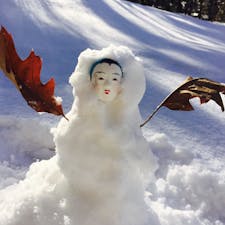 蓼科
明けましておめでとうございます！