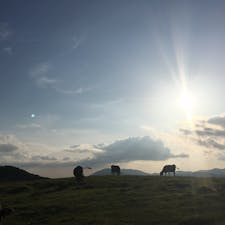 愛媛
四国カルスト