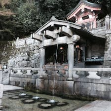2018.11
早朝の清水寺。
大人気の音羽の滝、ゆっくり写真が撮れます。